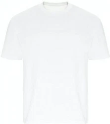 Ecologie Rundhalsshirt Arrow Recycled Heavy Oversize 