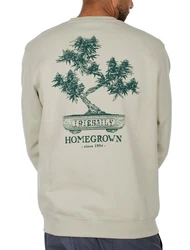 iriedaily Sweater Sweatpulli Iriedaily Bonsigh light sage