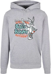 ABSOLUTE CULT Kapuzensweatshirt Looney Tunes Vintage Bugs Bunny Rot/Grau/Lila/Hellblau