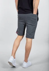 Alpha Industries Sweatshorts Big Letters Short Dunkelgrau/Dunkelblau/Grau/Hellgrau