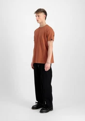 Alpha Industries T-Shirt Dragon Orange/Rot/Braun