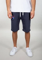 Alpha Industries Sweatshorts NASA Basic Shorts Dunkelblau/Blau/Grau