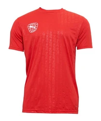 PUMA T-Shirt re:fibre Trikot Rot