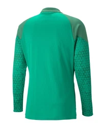 PUMA teamCUP Trainingsjacke 