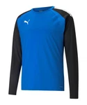 PUMA teamLIGA Training Sweatshirt 