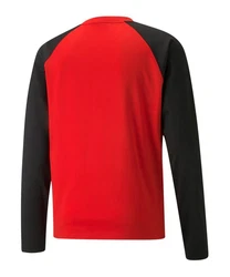 PUMA teamLIGA Training Sweatshirt Rot