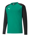 PUMA teamLIGA Training Sweatshirt Grün/Neonfarben