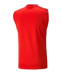 PUMA Sweatshirt teamCUP Trainingssweatshirt Rot