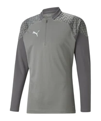 PUMA teamCUP HalfZip Sweatshirt Dunkelgrau/Grau/Grün/Dunkelgrün