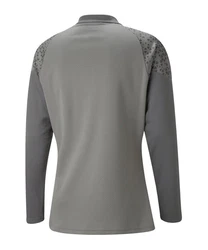 PUMA teamCUP HalfZip Sweatshirt Dunkelgrau/Grau/Grün/Dunkelgrün