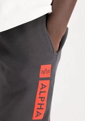 Alpha Industries Shorts Alpha Puff Print Short Dunkelgrau/Dunkelblau/Hellgrau/Grau