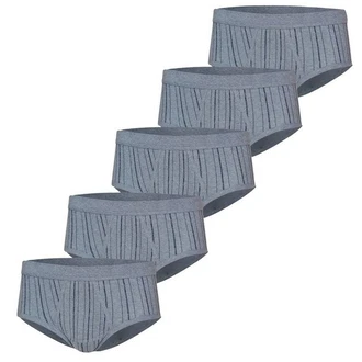 ESGE Herren Slip Feinripp 5er Pack Blau/Grau/Dunkelblau