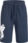 Lonsdale Shorts Badnagie Blau/Dunkelblau