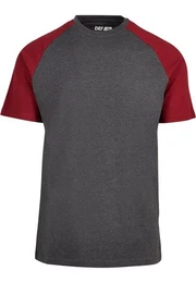 Kurzarmshirt Herren Roy T-Shirt (1-tlg)