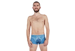 EIN SCHNER FLECK ERDE Boxer Herren 