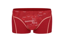 EIN SCHNER FLECK ERDE Boxer Herren 