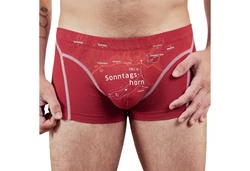 EIN SCHNER FLECK ERDE Boxer Herren 