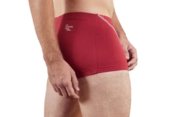 EIN SCHNER FLECK ERDE Boxer Herren 