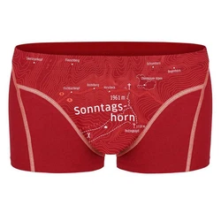 EIN SCHNER FLECK ERDE Boxer Herren 