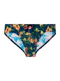 Badehose Flamingo Bade-Shorts Speedo eng