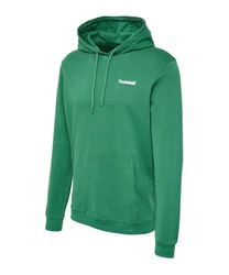 hummel hmlLGC Gabe Hoody Hallenschuh Grün/Dunkelgrün/Neonfarben