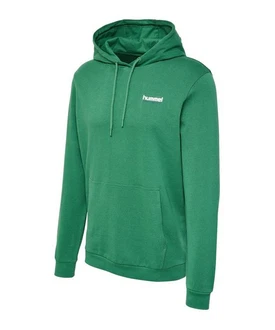 hummel hmlLGC Gabe Hoody Hallenschuh Grün/Dunkelgrün/Neonfarben