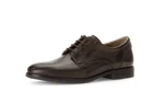 Pius Gabor Schnürschuh Braun/Dunkelbraun/Dunkelgrün/Beige