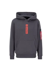 ALPHA INDUSTRIES Sweatshirt Dunkelgrau/Hellgrau/Grau