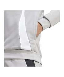 adidas Performance Sweatshirt Tiro 24 Training Hoody Hellgrau/Grau/Silber