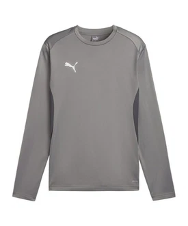 PUMA teamGOAL Training Sweatshirt 