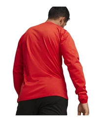 PUMA teamGOAL Training Sweatshirt Rot
