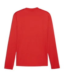 PUMA teamGOAL Training Sweatshirt Rot