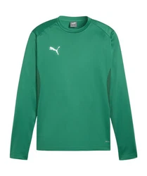 PUMA teamGOAL Training Sweatshirt 