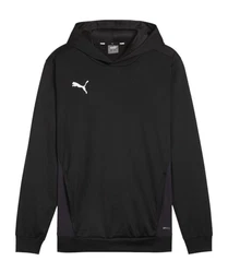 PUMA Sweatshirt teamGOAL Hoody 