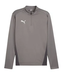 PUMA Sweatshirt teamGOAL Training 1/4 Zip 
