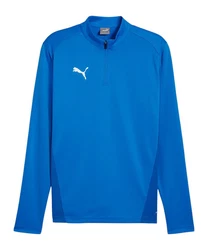 PUMA Sweatshirt teamGOAL Training 1/4 Zip Blau/Hellblau