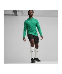 PUMA Sweatshirt teamGOAL Training 1/4 Zip 