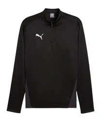 PUMA Sweatshirt teamGOAL Training 1/4 Zip Schwarz/Rot