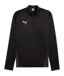PUMA Sweatshirt teamGOAL Training 1/4 Zip Schwarz/Rot