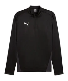 Sweatshirt teamGOAL Training 1/4 Zip Sweatshirt