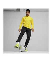 PUMA Sweatshirt teamGOAL Training 1/4 Zip 