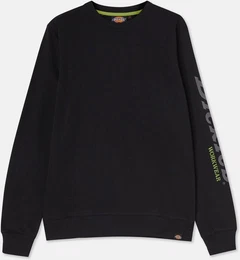 Rundhalspullover Okemo Graphic Sweatshirt (Bci)