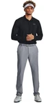 Under Armour Longsleeve Performance 3.0 Polo Grau/Schwarz