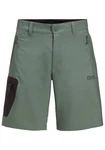 Jack Wolfskin Shorts ACTIVE TRACK SHORTS 