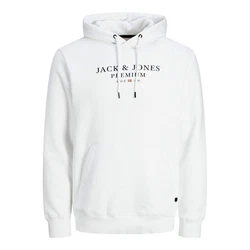 Jack & Jones Kapuzensweatshirt Hoodie JJESTAR JPRBLUARCHIE Weiß/Khaki/Creme