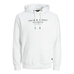 Kapuzensweatshirt JJESTAR JJ Sweat Hood Noos mit Markenschriftzug