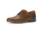 Pius Gabor Schnürschuh Braun/Beige