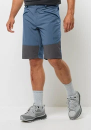 Shorts HIKING ALPINE SHORT M