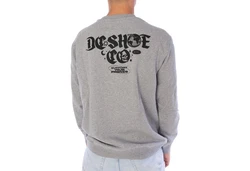 DC Shoes Sweater Sweatpulli DC Friends Grau/Hellgrau