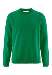 Hessnatur Strickpullover Regular 